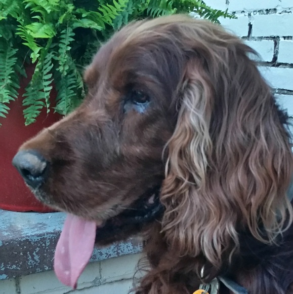 Meet your Posher, Kerri - Picture 1 of 1